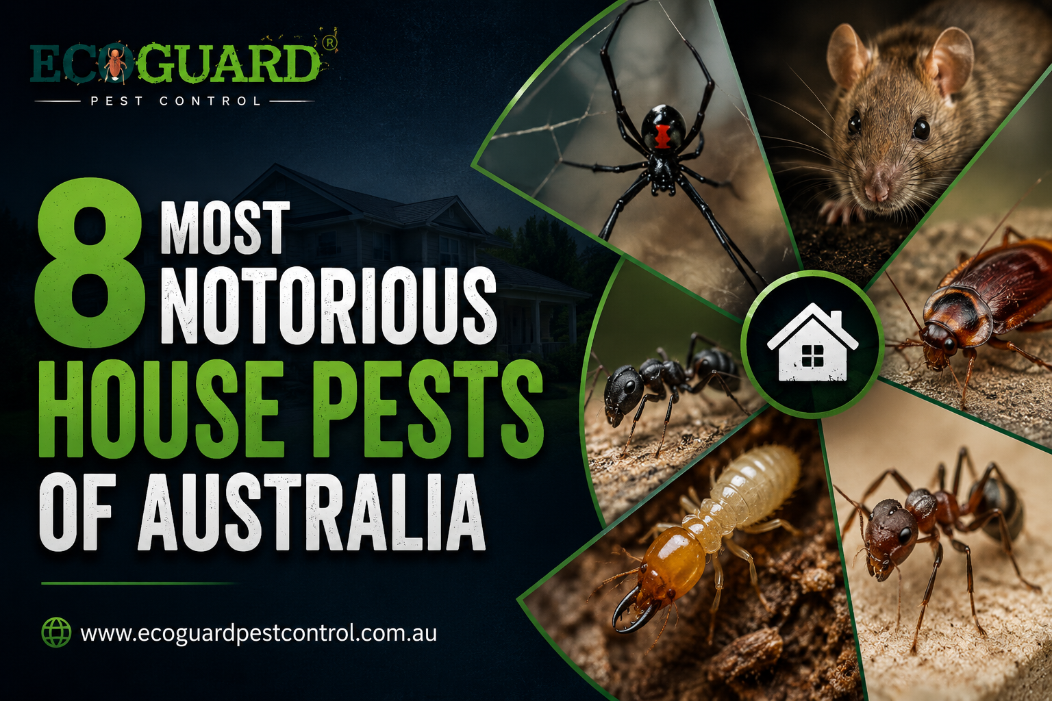 8 Most Notorious House Pests Of Australia