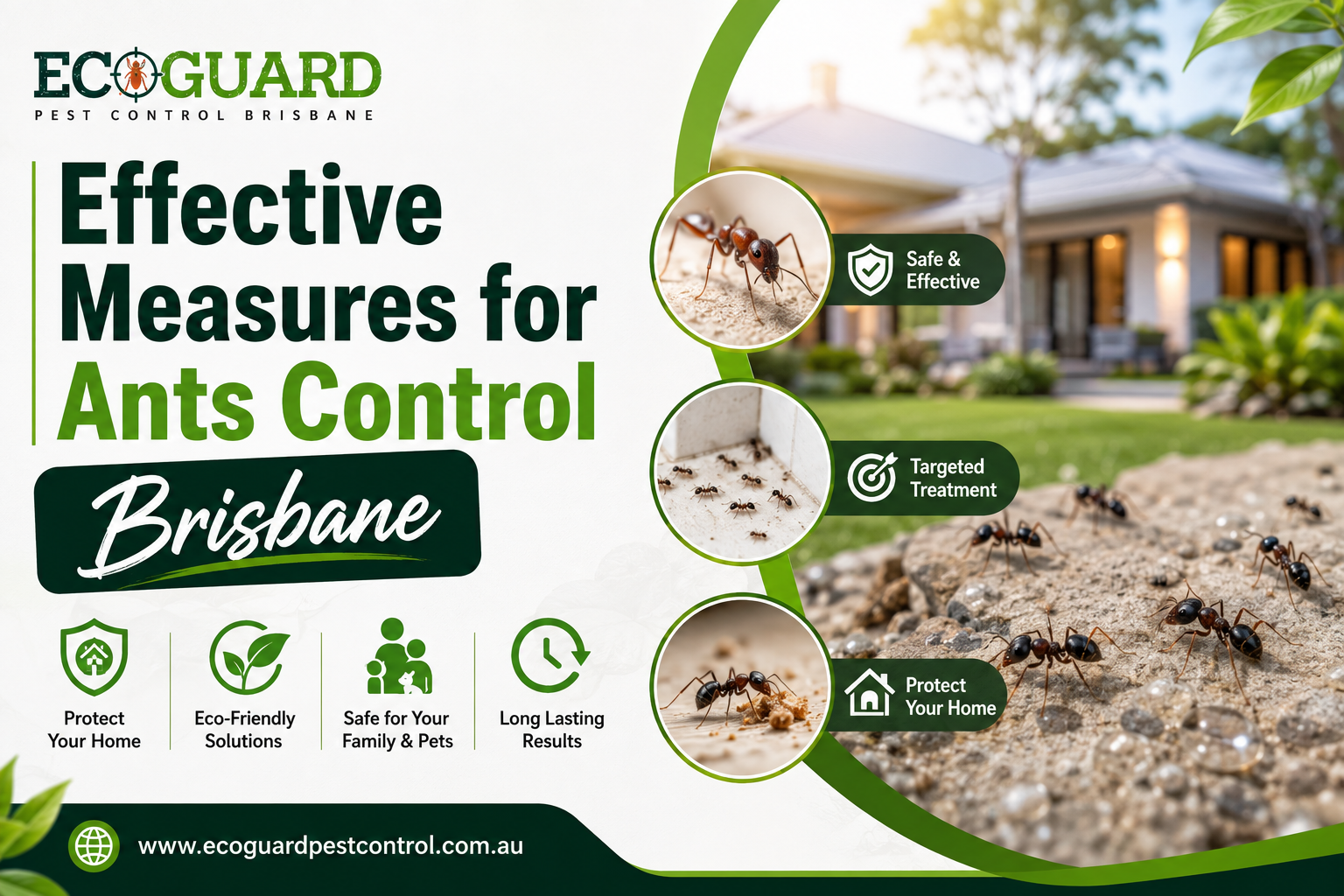 Effective Measures for Ants Control Brisbane