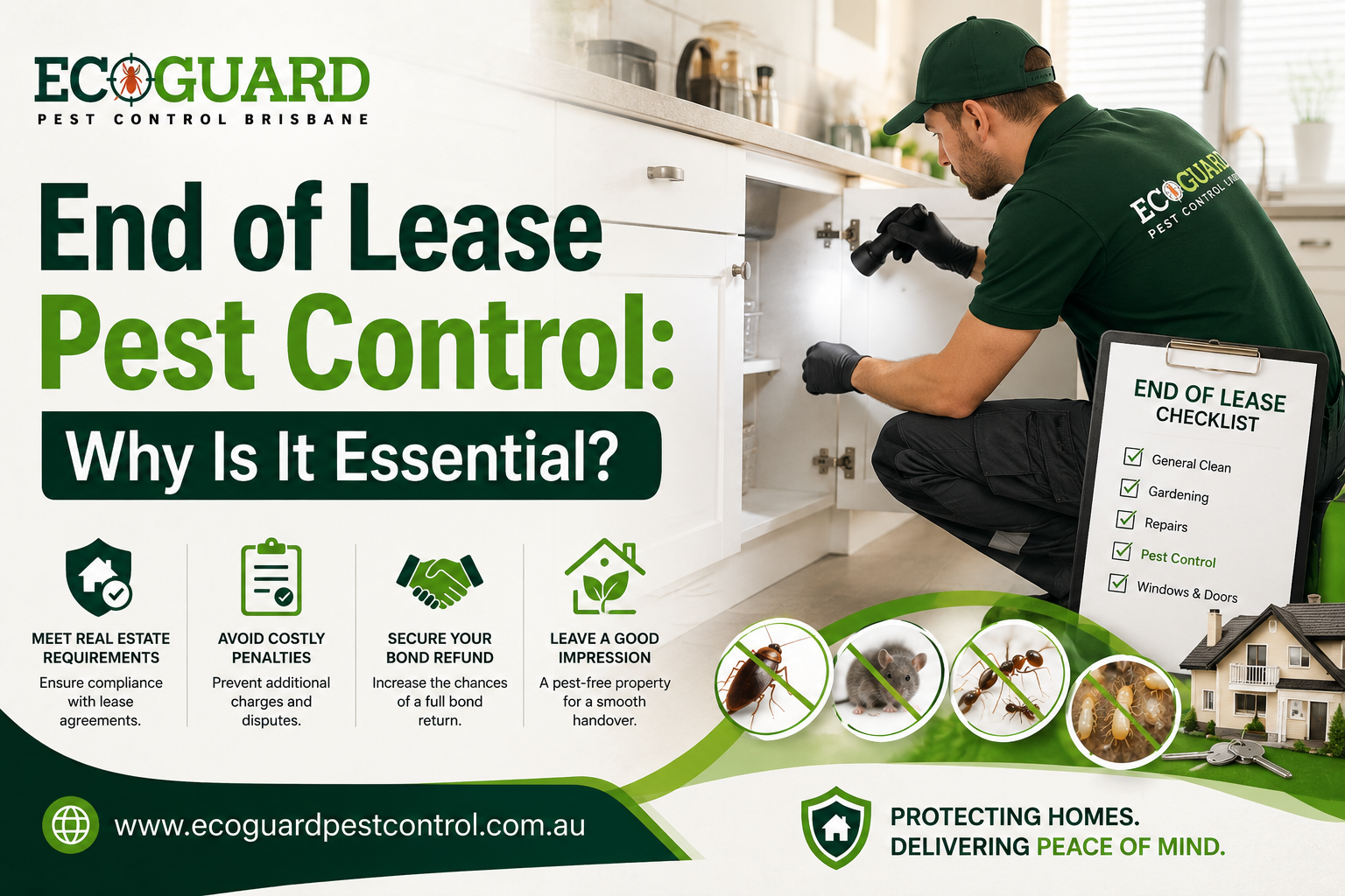 End of Lease Pest Control: Why Is It Essential?