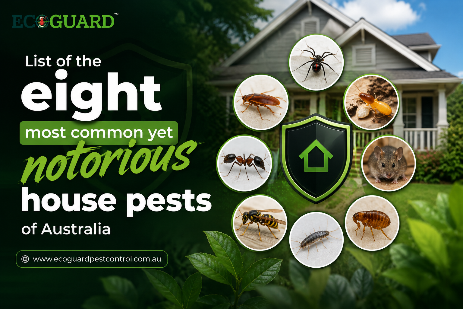 List of the eight most common yet notorious house pests of Australia