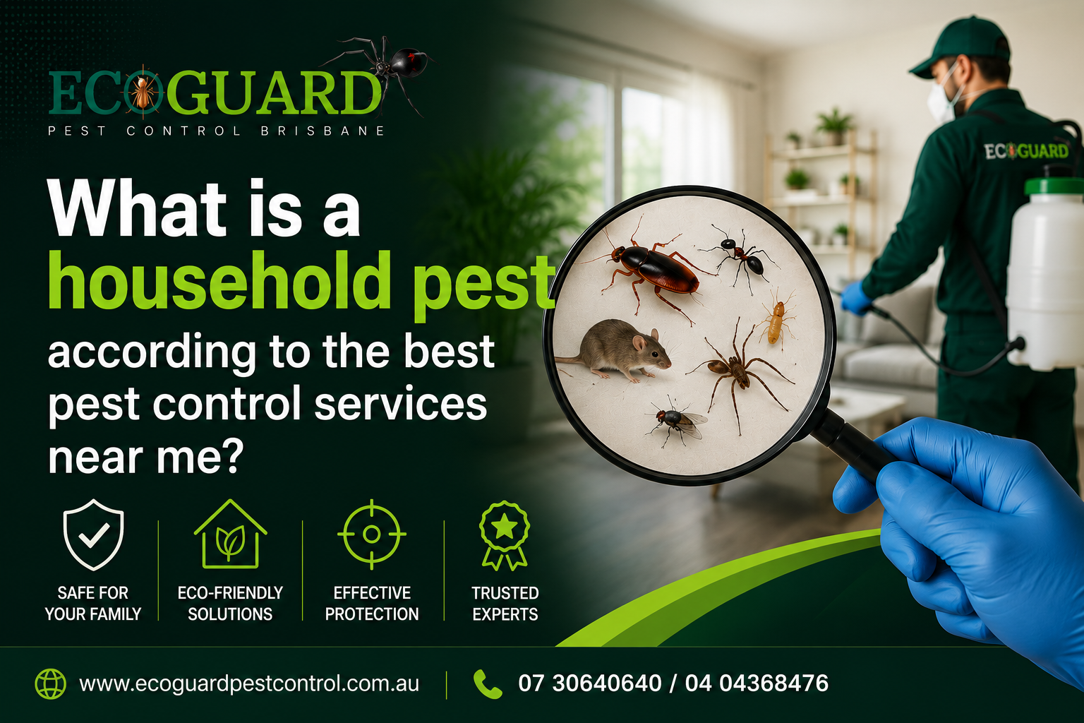 What is a household pest according to the best pest control services near me