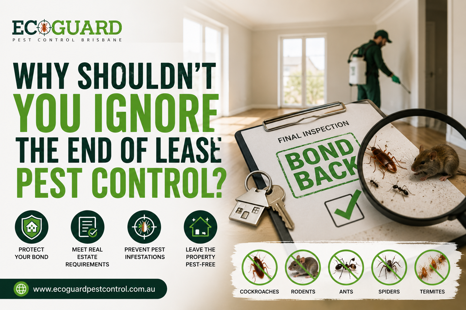 Why shouldn’t you ignore the end of lease pest control