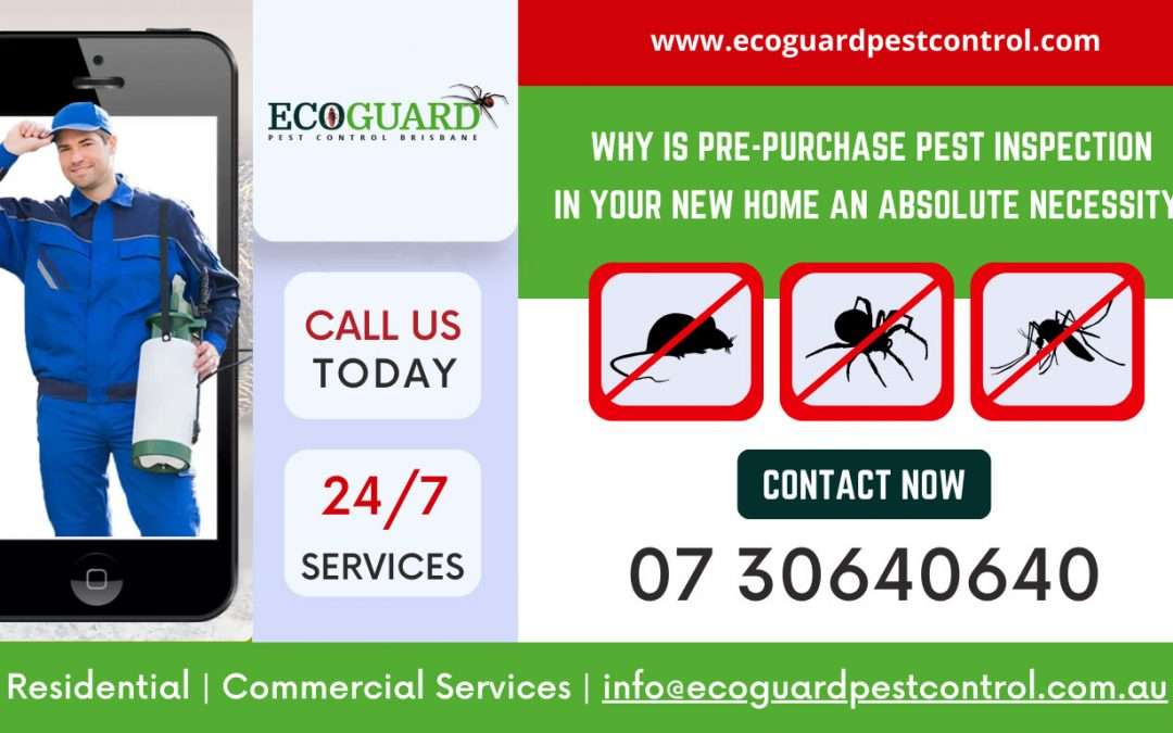 Why Is Pre-Purchase Pest Inspection In Your New Home An Absolute Necessity?