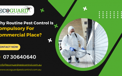 Why Routine Pest Control Is Compulsory For Commercial Place?