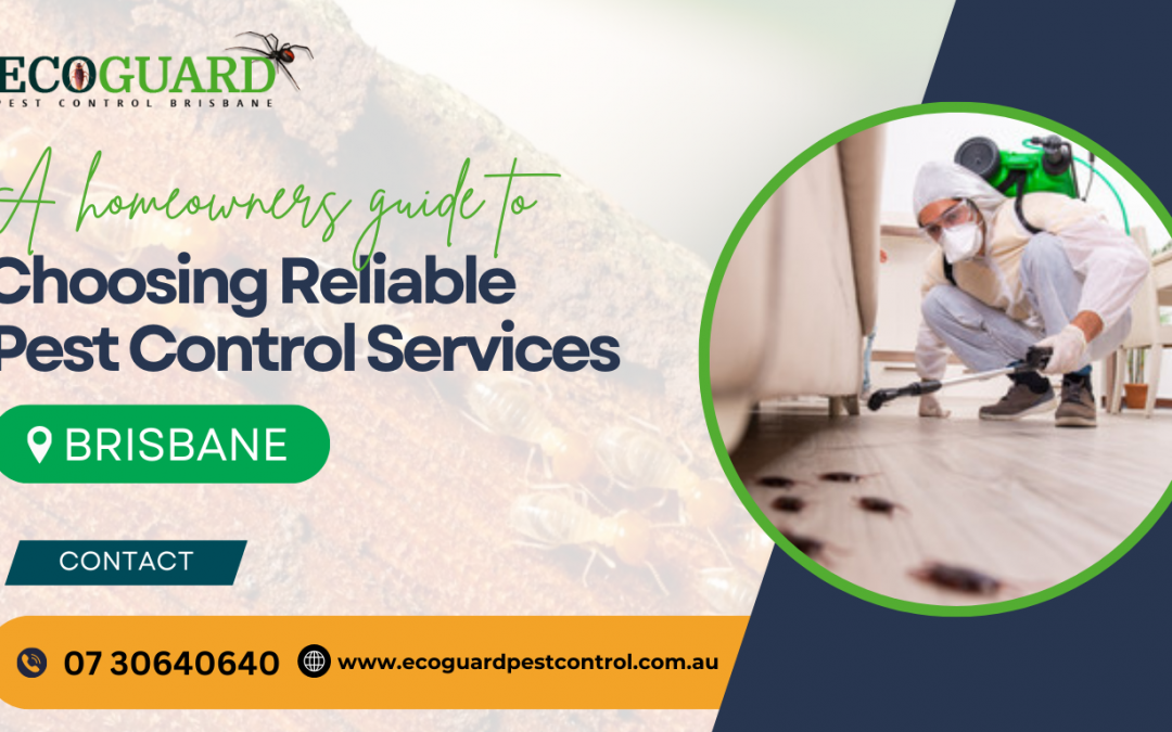 A Homeowners Guide to Choosing Reliable Pest Control Services in Brisbane
