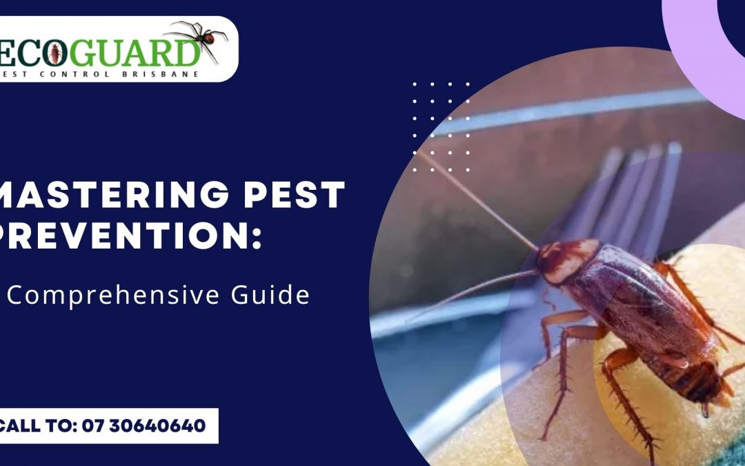 Mastering Pest Prevention: A Comprehensive Guide