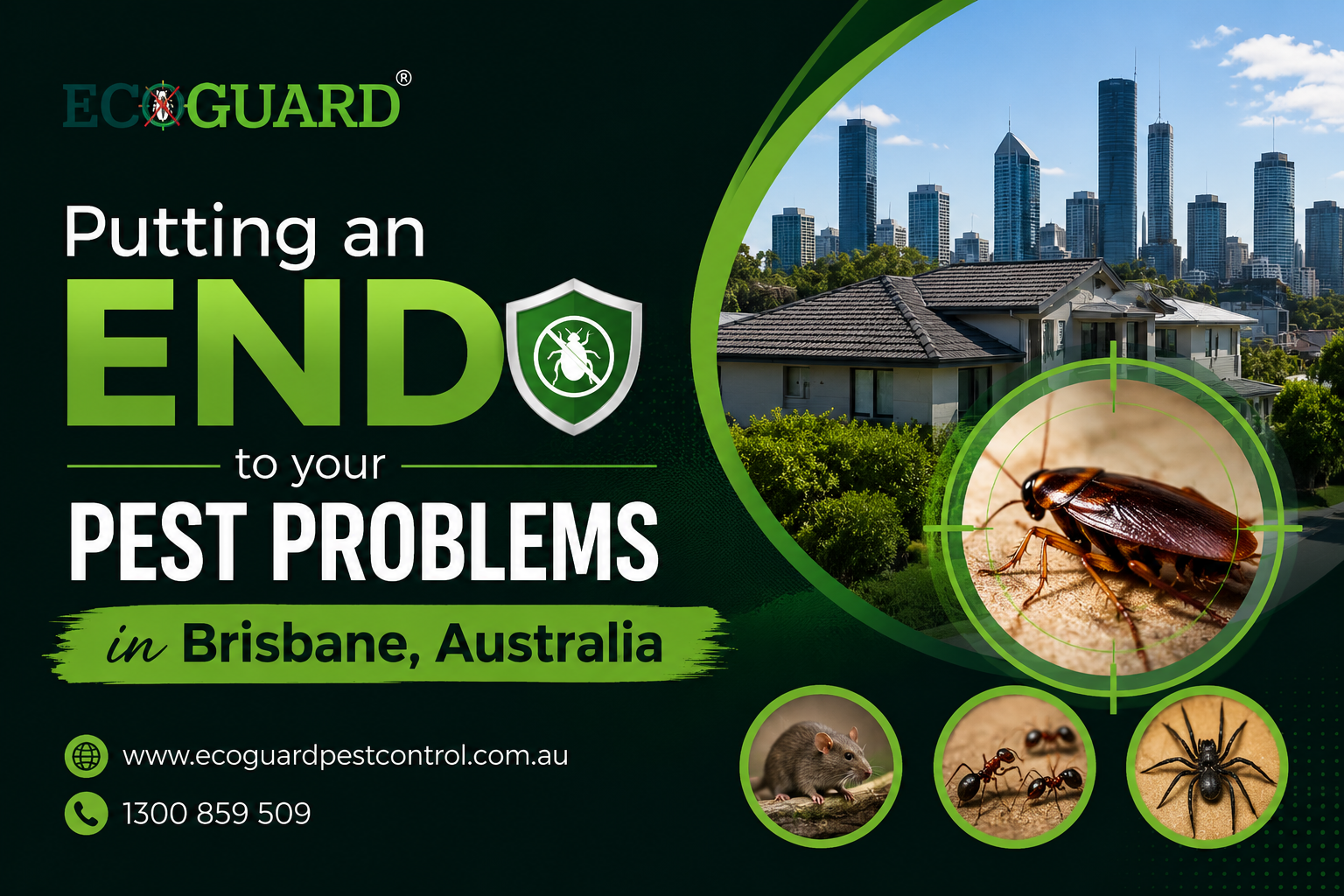 Putting an end to your pest problems in Brisbane, Australia