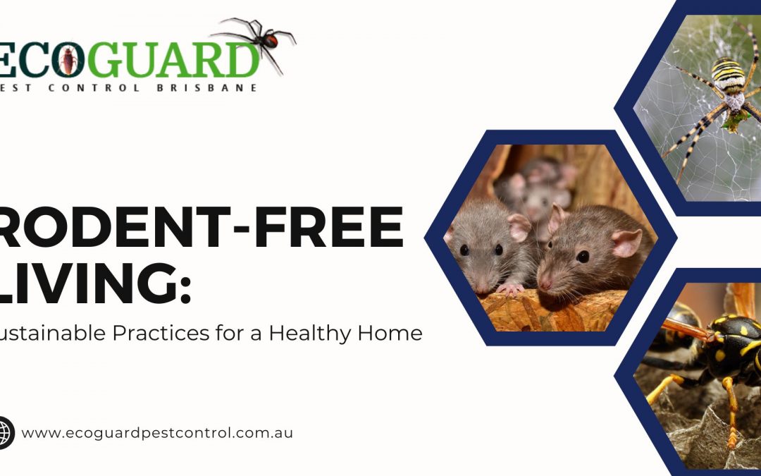 Rodent-Free Living: Sustainable Practices for a Healthy Home