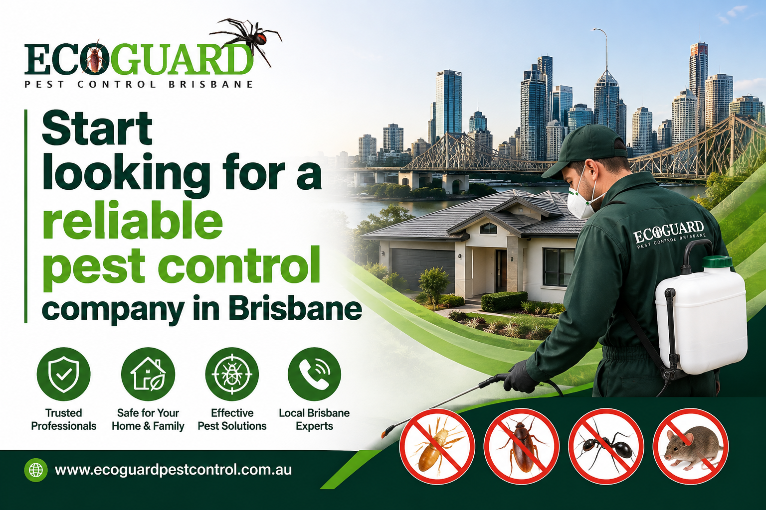Start looking for a reliable pest control company in Brisbane