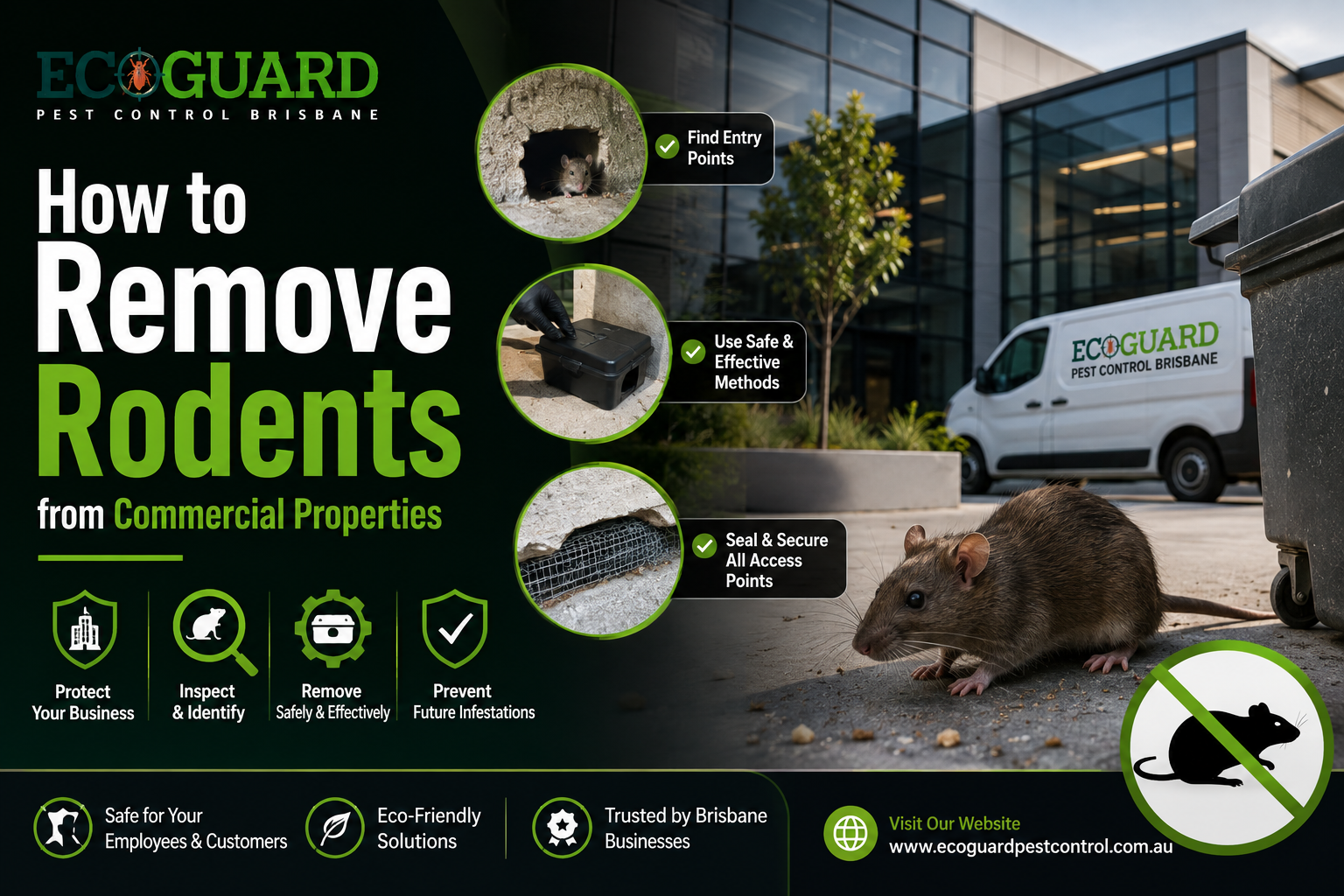 How to Remove Rodents from Commercial Properties