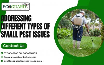 Addressing Different Types of Small Pest Issues