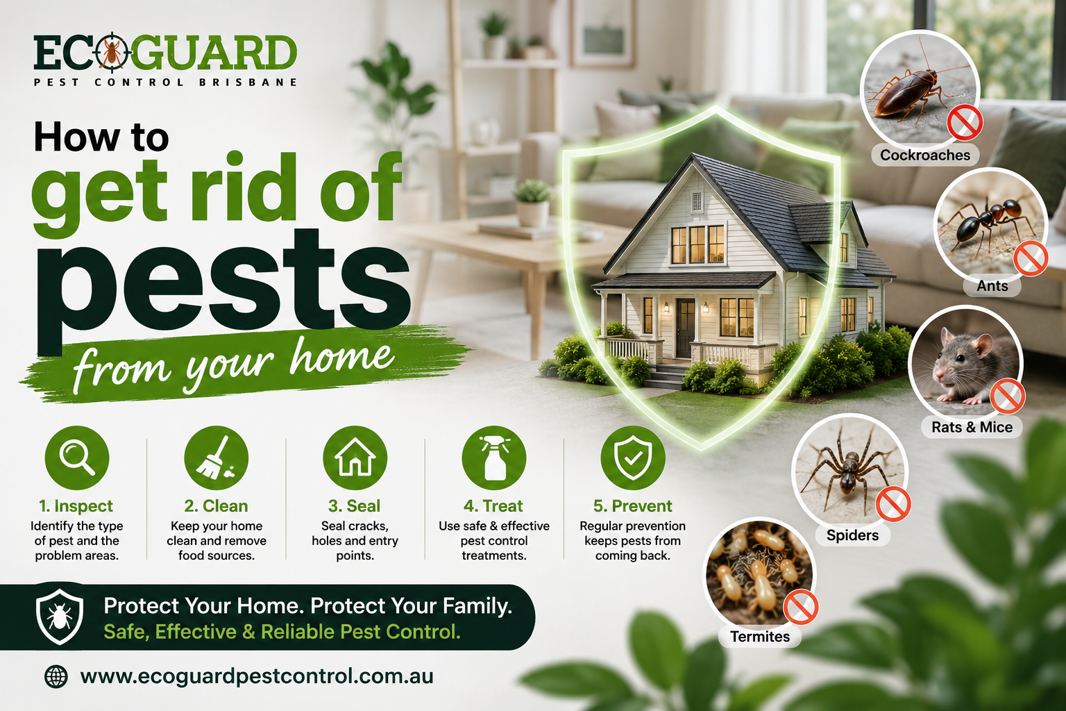 How to get rid of pests from your home