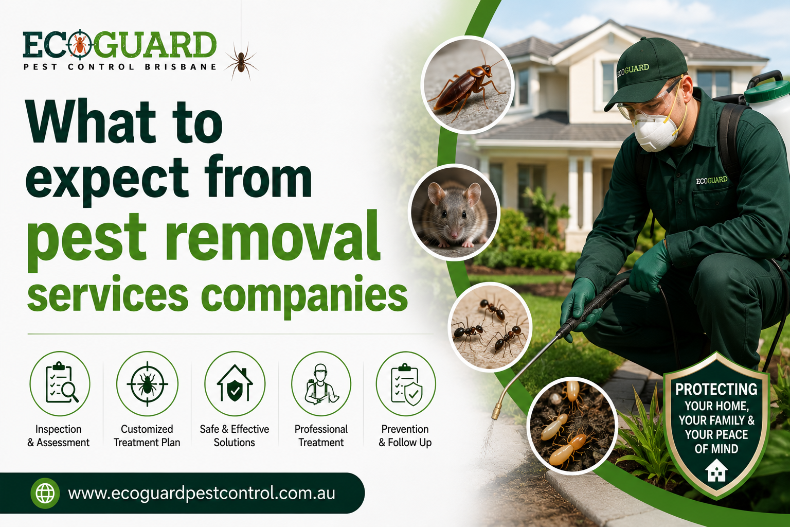 What to expect from pest removal services companies