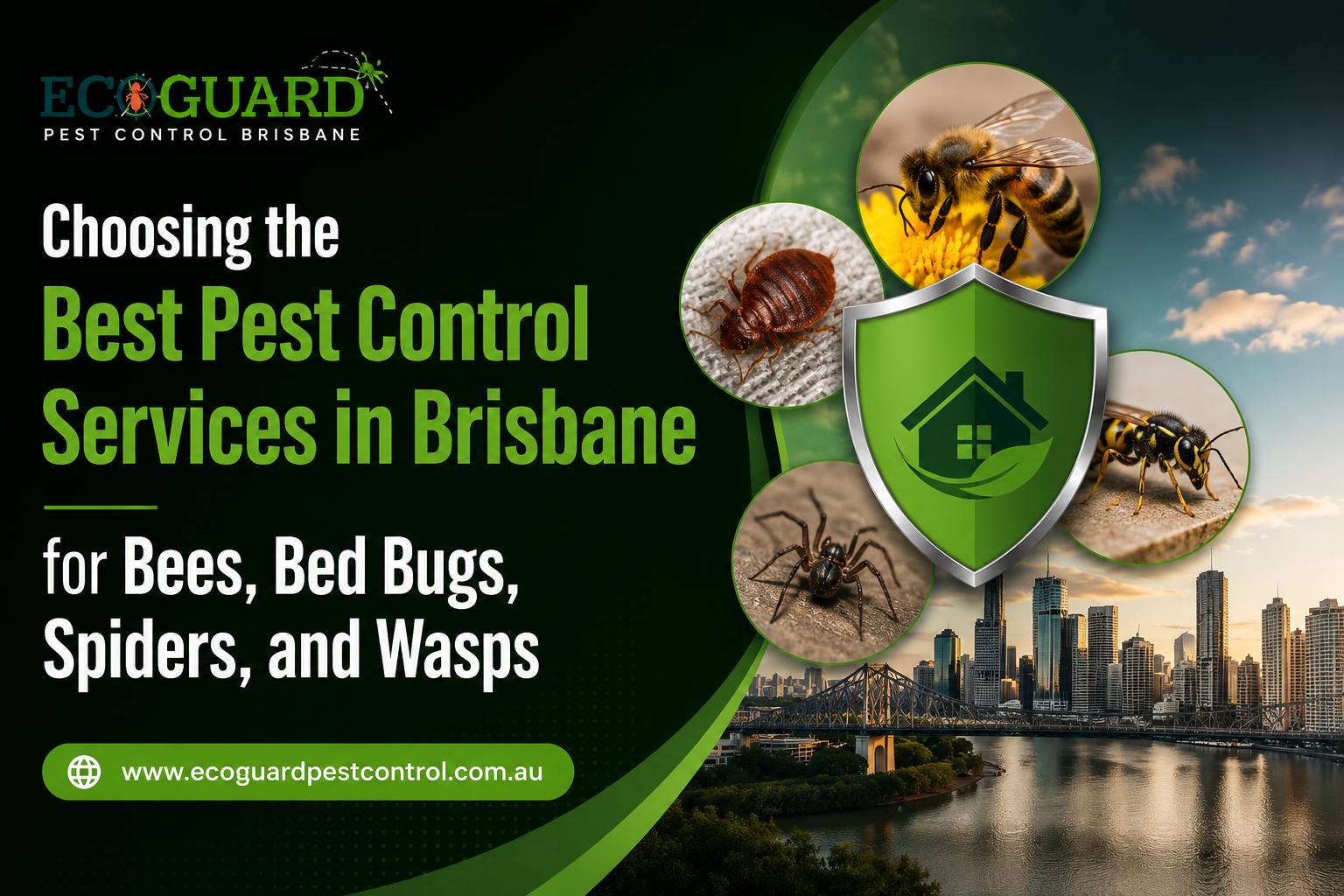 Choosing the Best Pest Control Services in Brisbane for Bees, Bed Bugs, Spiders, and Wasps