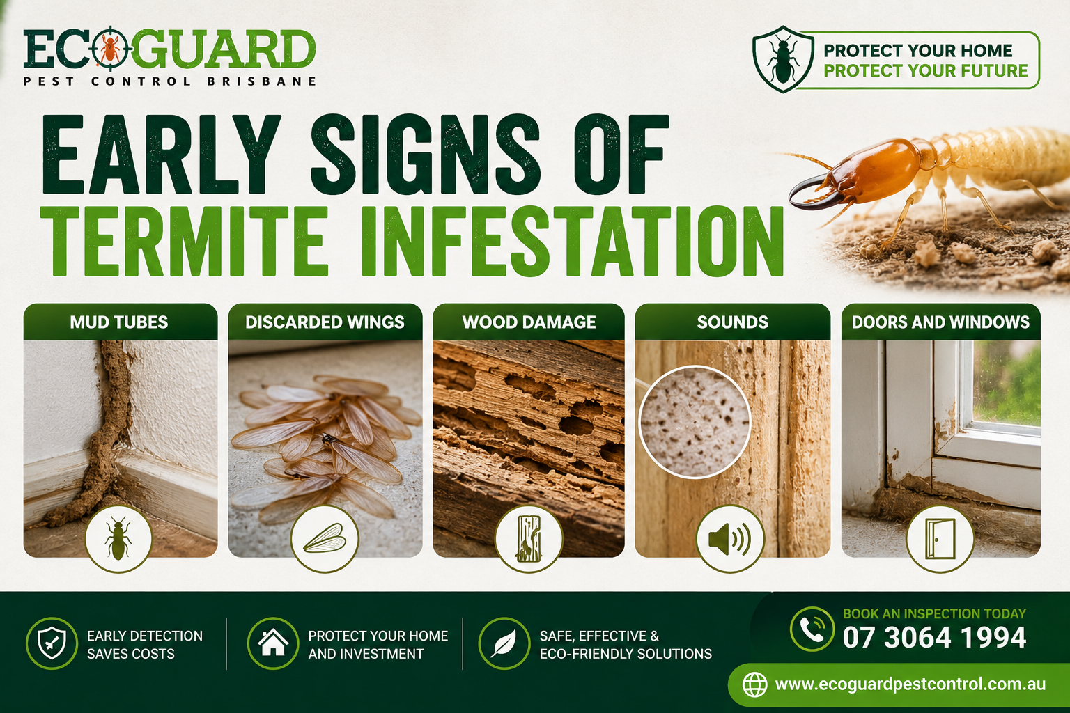 Early Signs of Termite Infestation