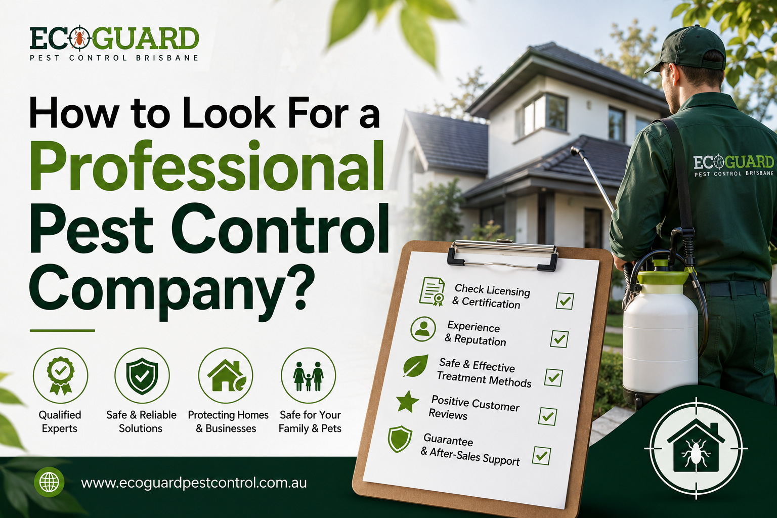 How to Look For a Professional Pest Control Company