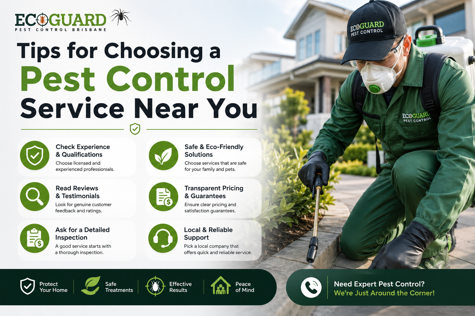 Tips for Choosing a Pest Control Service Near You