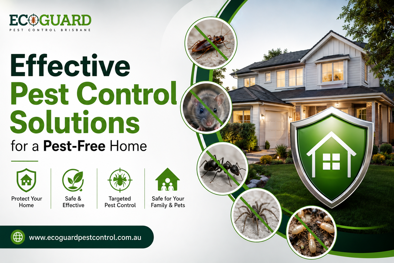 Effective Pest Control Solutions for a Pest-Free Home