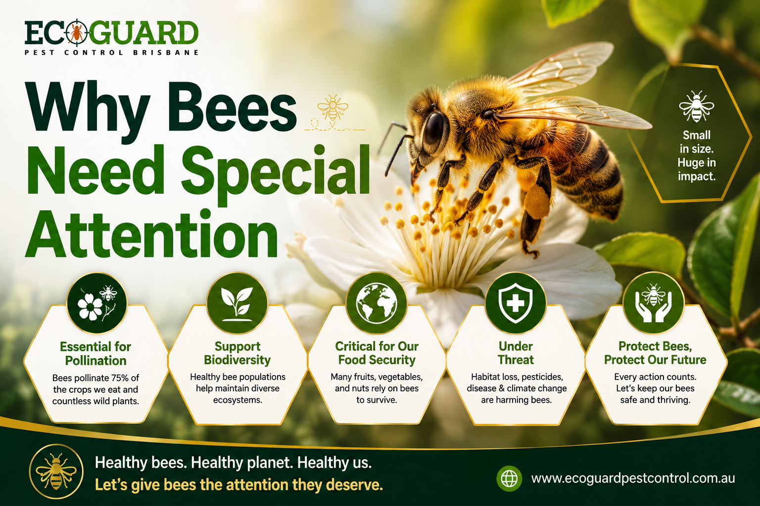 Why Bees Need Special Attention