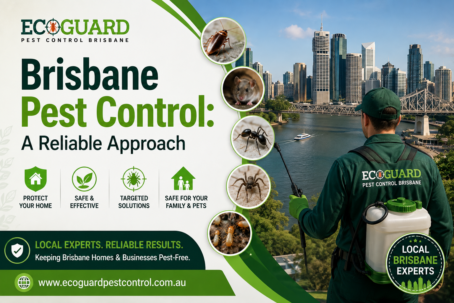 Brisbane Pest Control A Reliable Approach