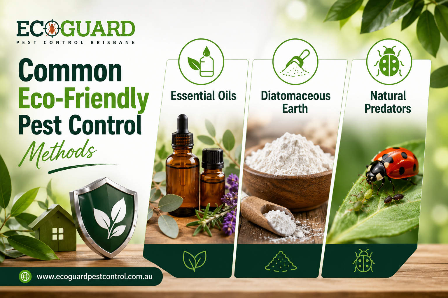 Common Eco-Friendly Pest Control Methods