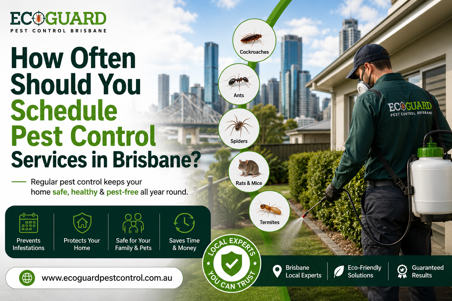 How Often Should You Schedule Pest Control Services in Brisbane?
