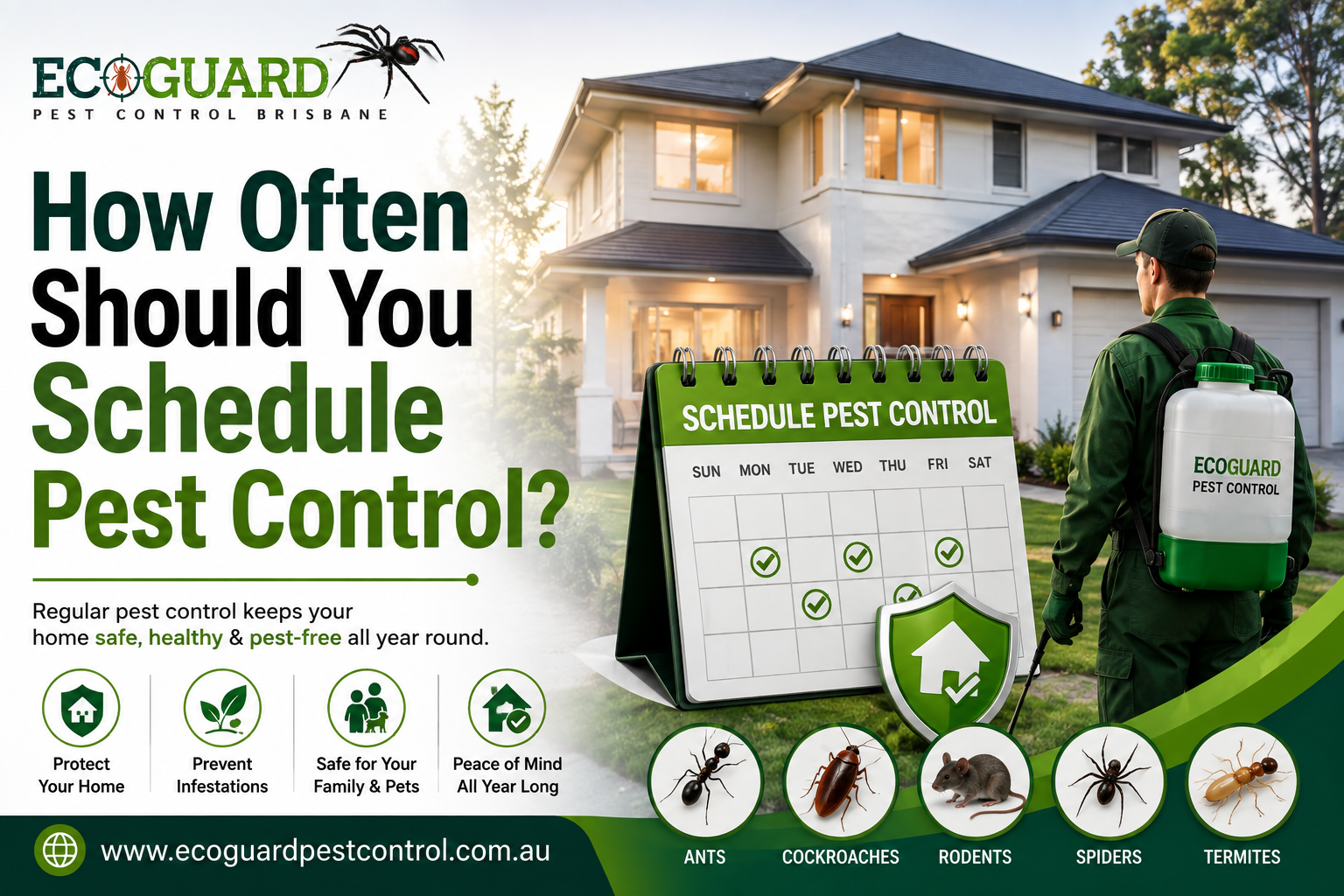 How Often Should You Schedule Pest Control
