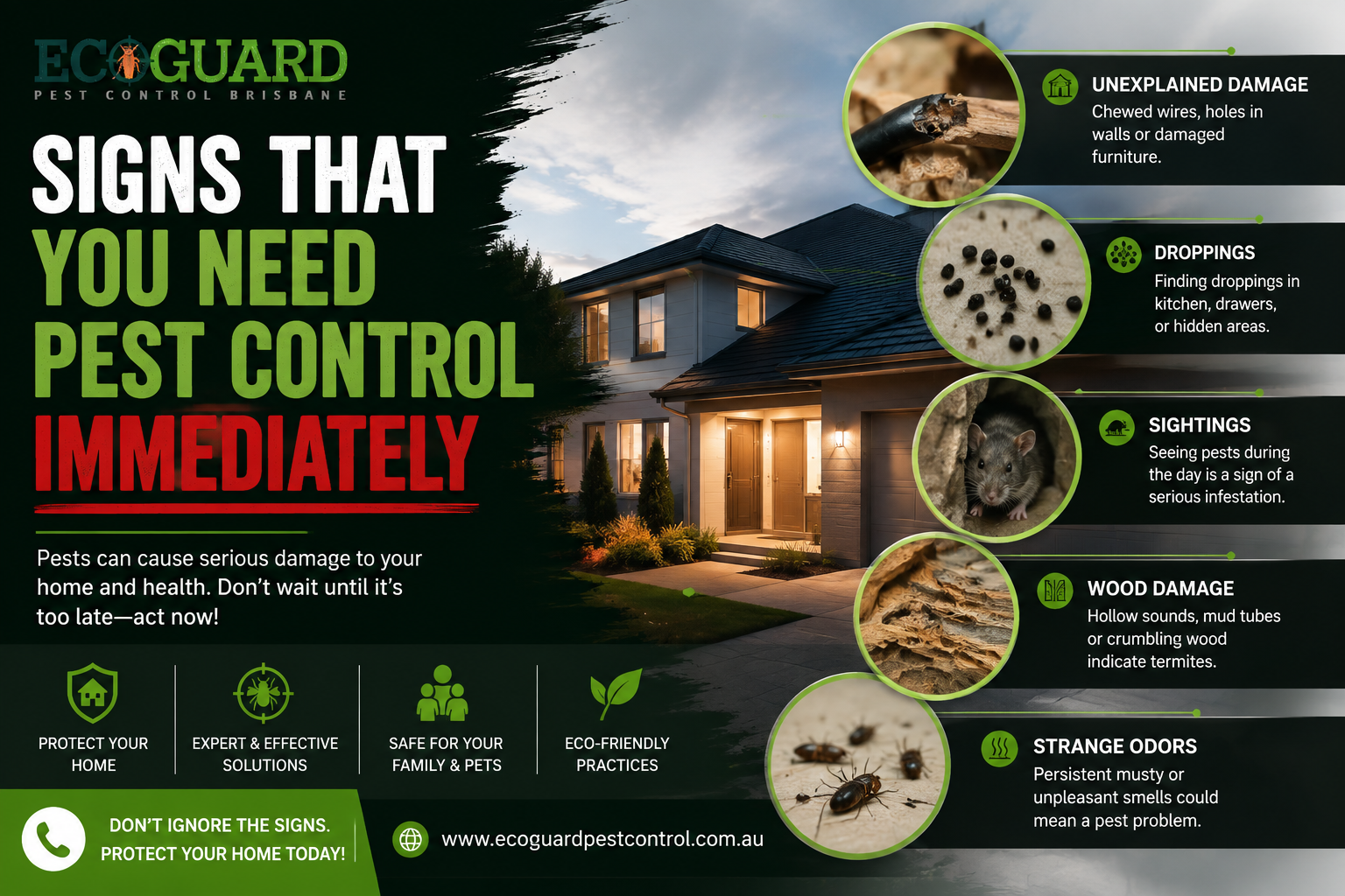 Signs That You Need Pest Control Immediately