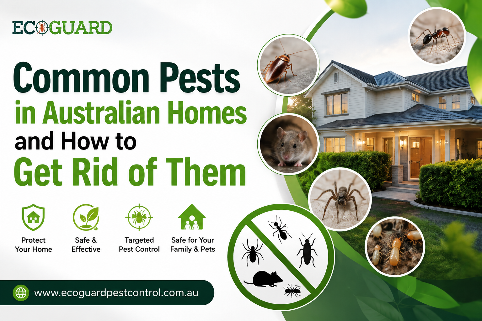 Common Pests in Australian Homes and How to Get Rid of Them