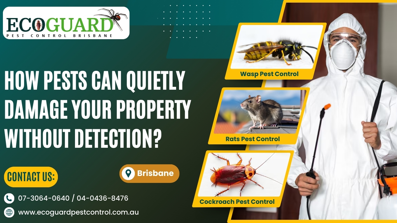How Pests Can Quietly Damage Your Property Without Detection