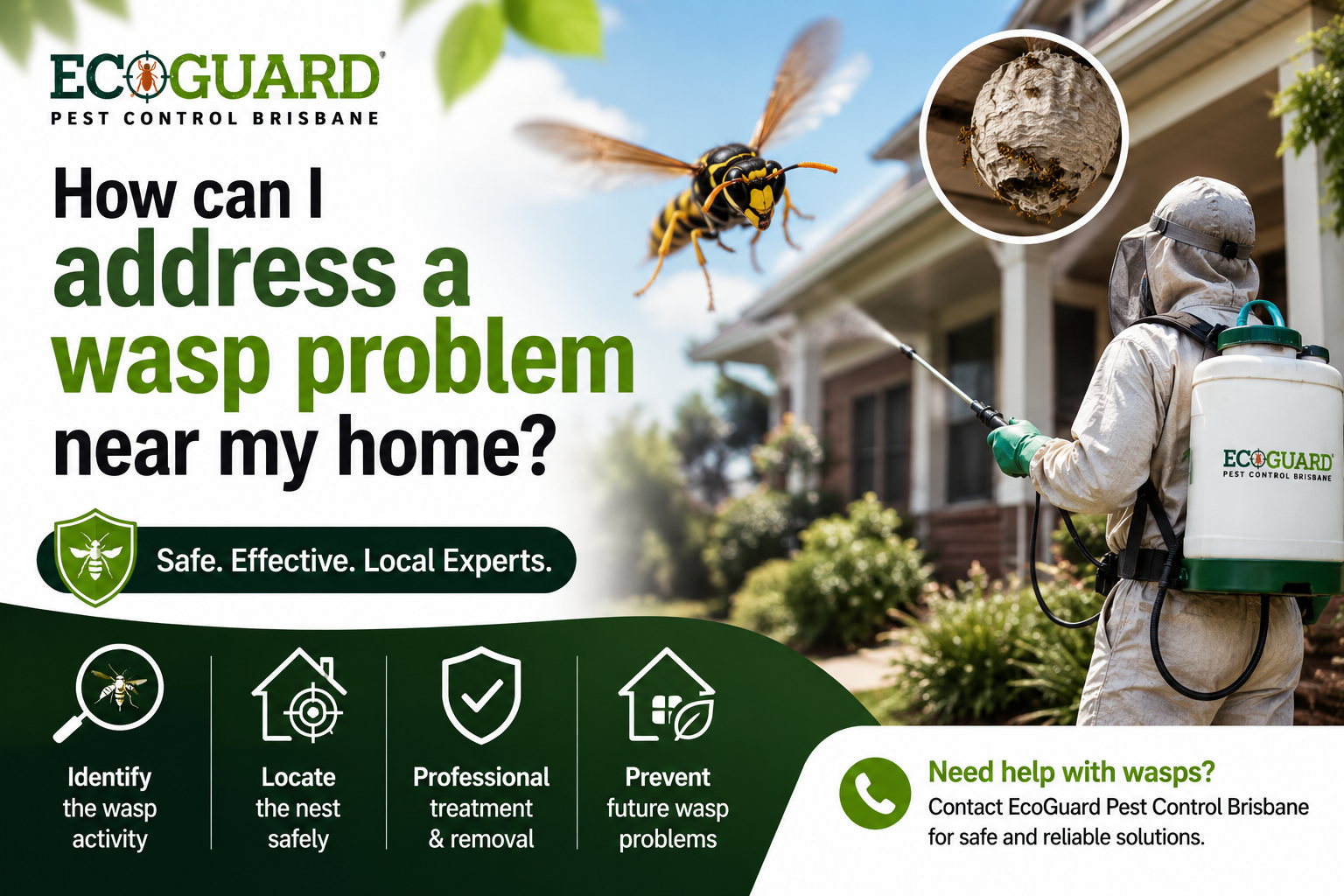 How can I address a wasp problem near my home