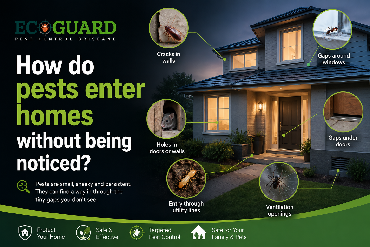 How do pests enter homes without being noticed