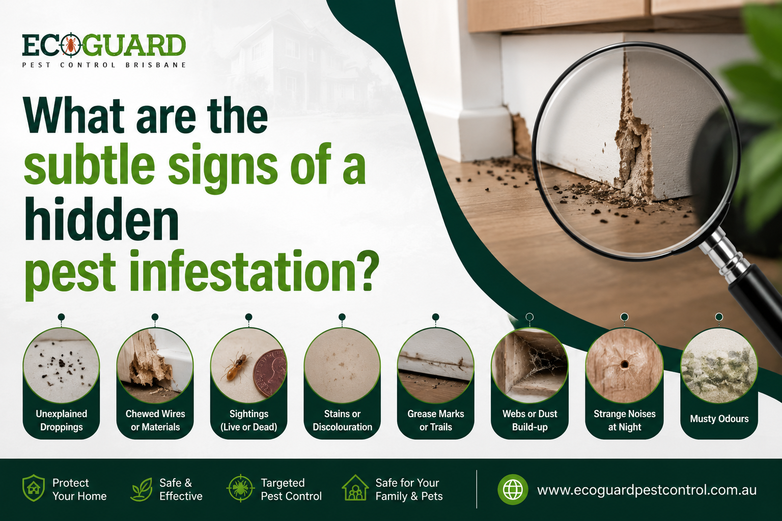 What are the subtle signs of a hidden pest infestation
