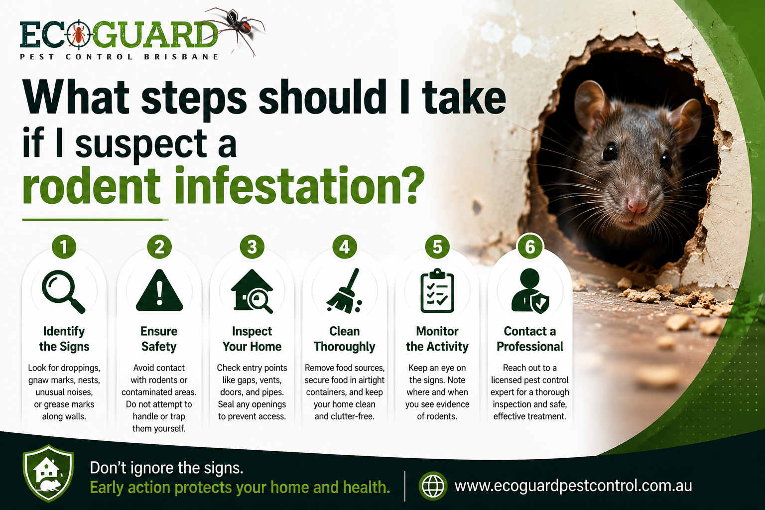 What steps should I take if I suspect a rodent infestation