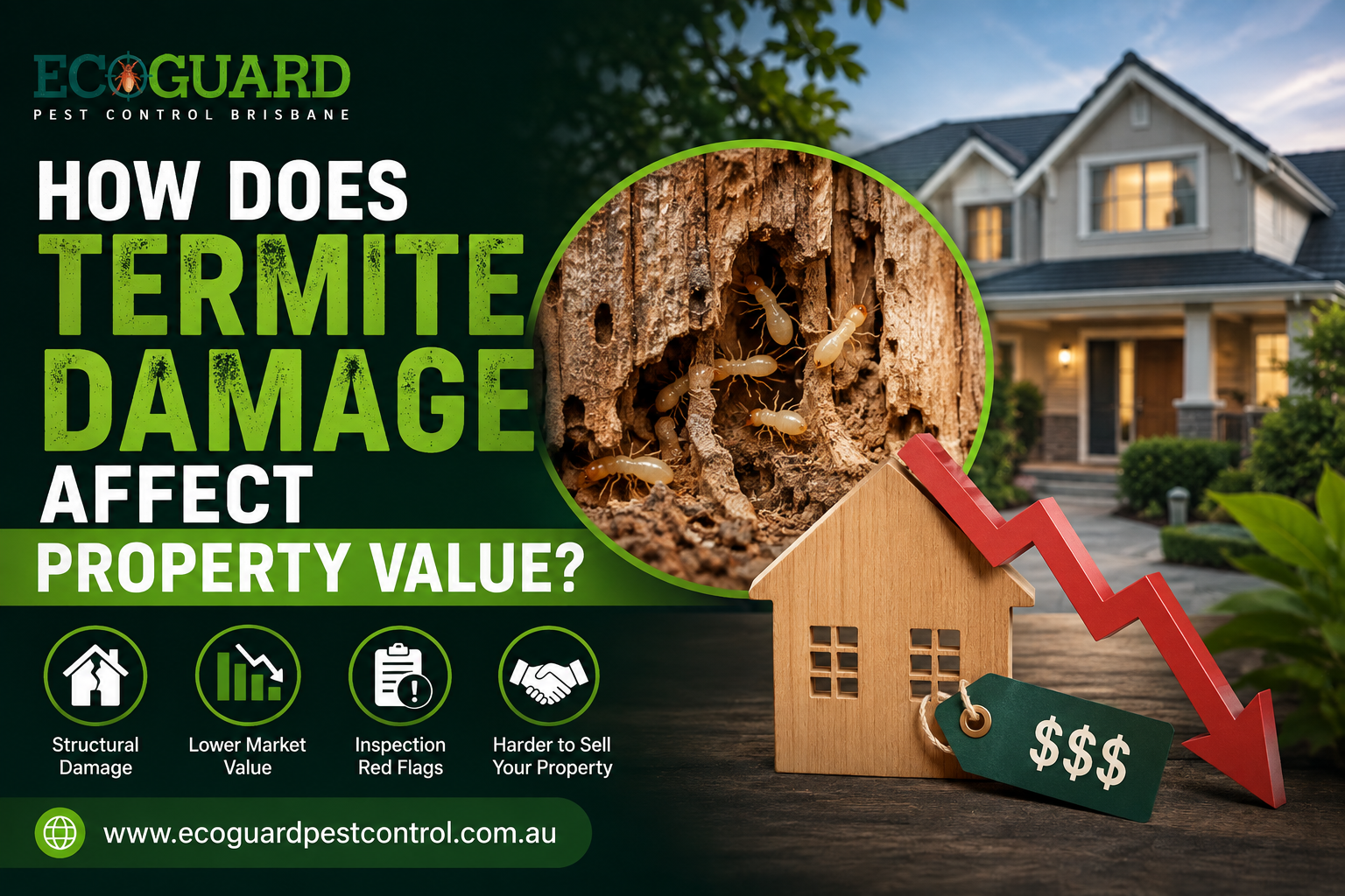 How does termite damage affect property value
