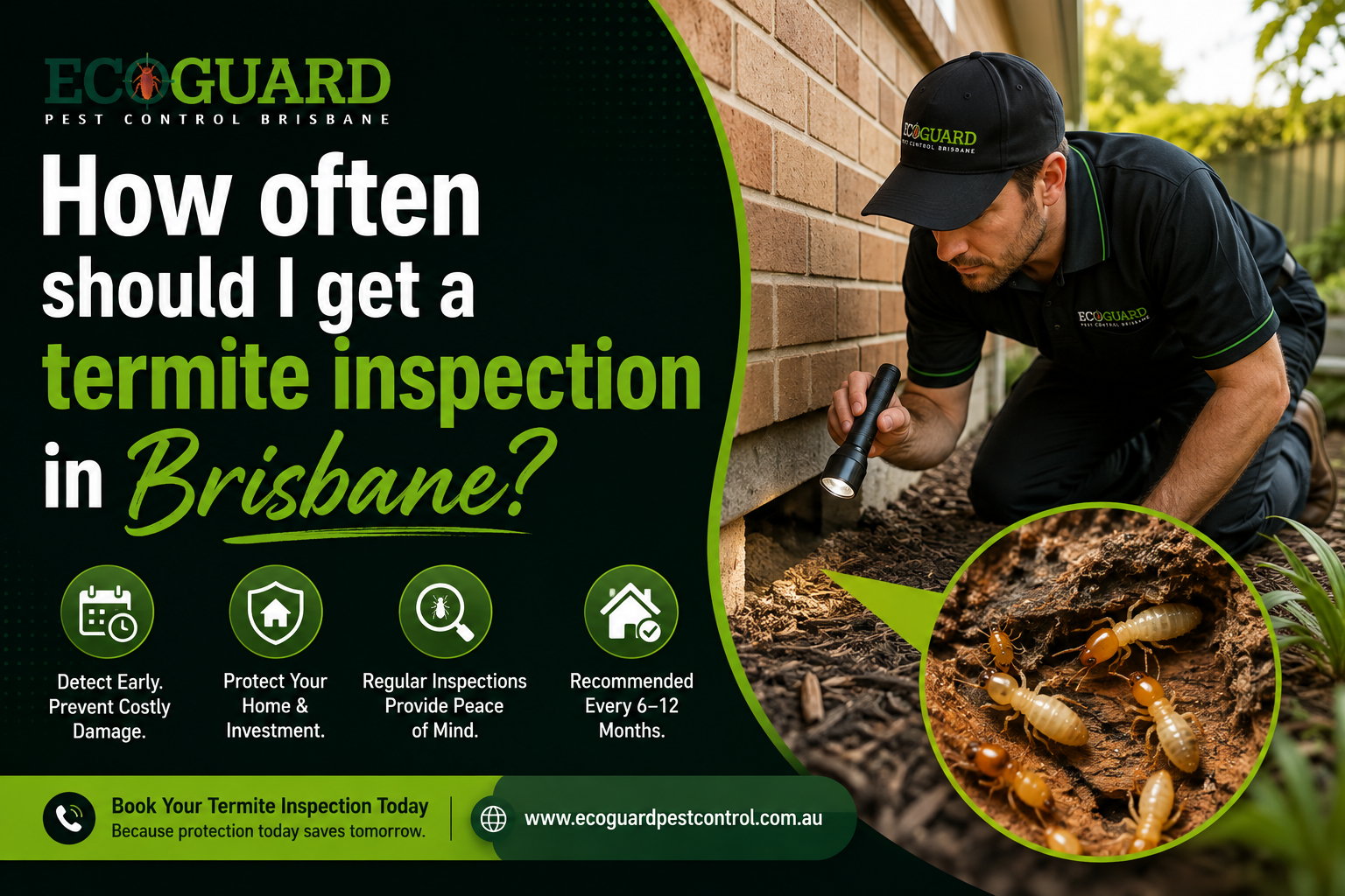 How often should I get a termite inspection in Brisbane