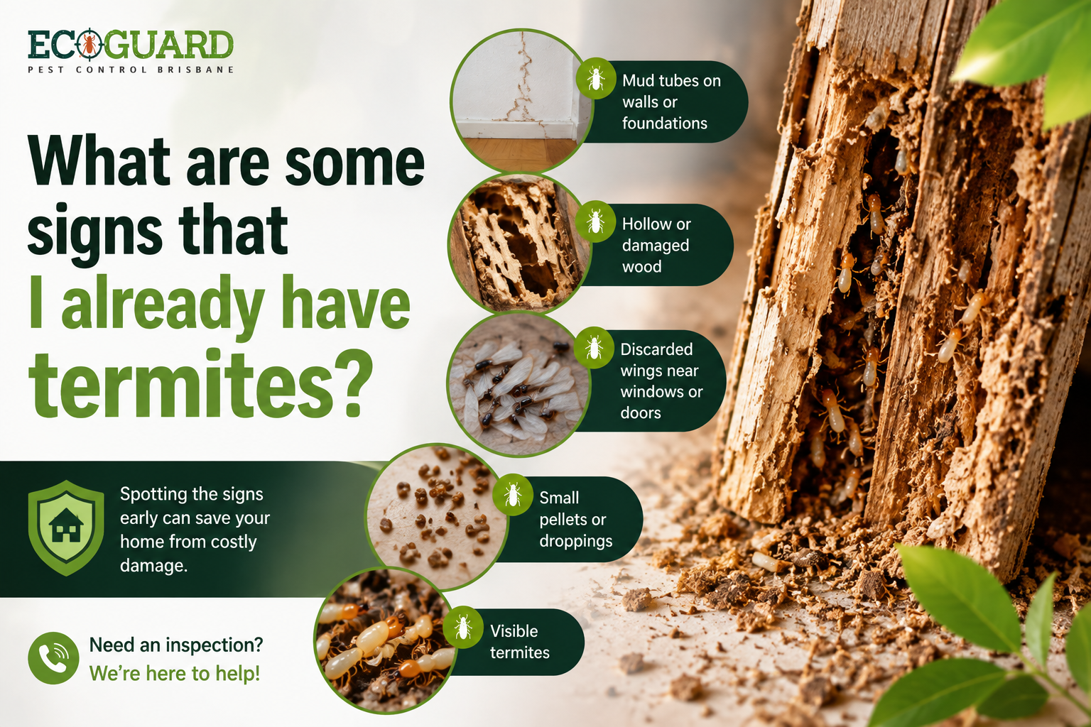 What are some signs that I already have termites?