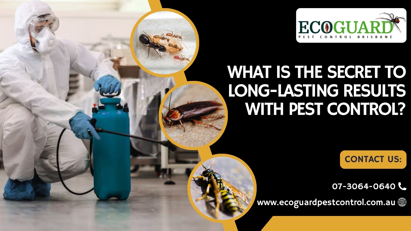 What is The Secret to Long-Lasting Results with Pest Control?