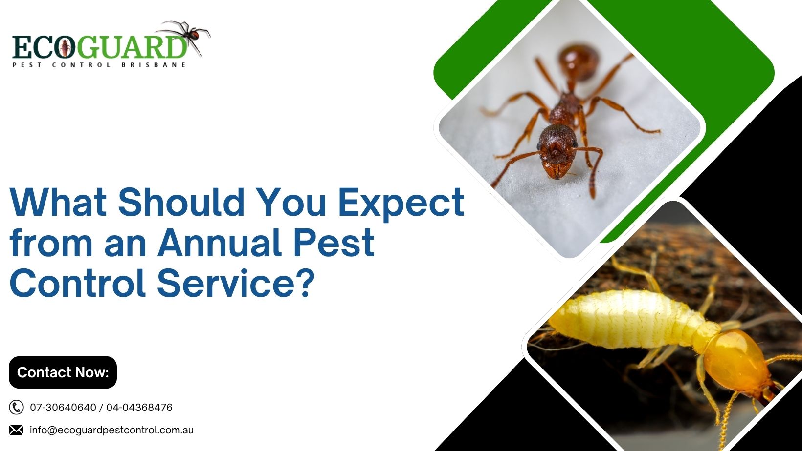 What Should You Expect from an Annual Pest Control Service?