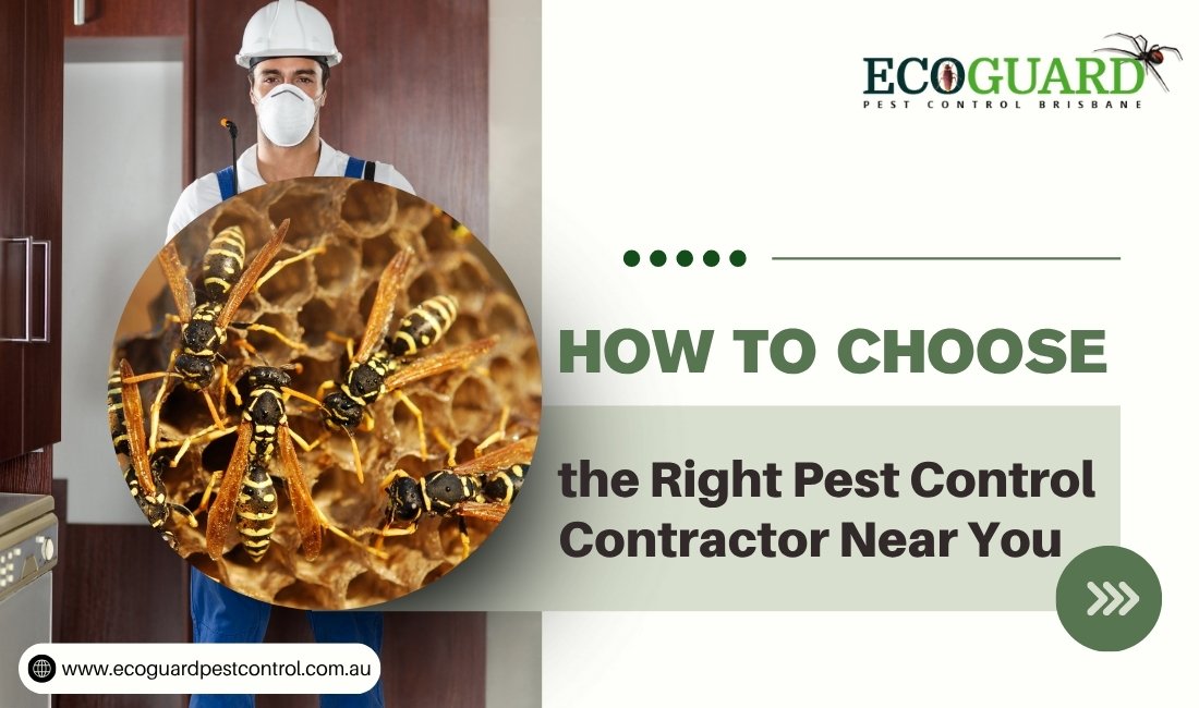 How to Choose the Right Pest Control Contractor Near You