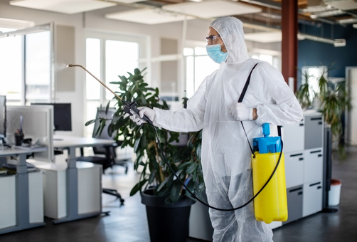 Pest Management for Offices in Brisbane