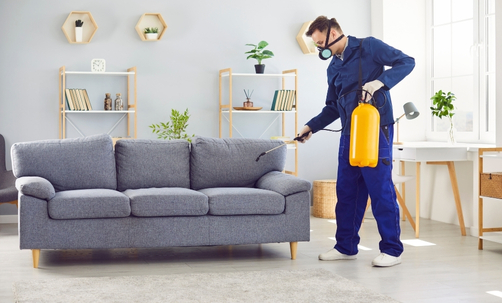 Professional & Friendly Commercial Pest Exterminators Brisbane