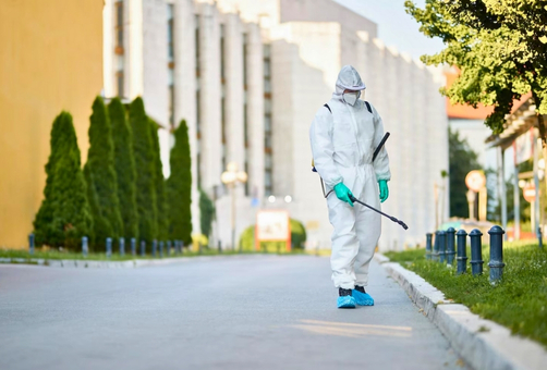 Real Estate Pest Management Brisbane Real Estate Pest Management Brisbane