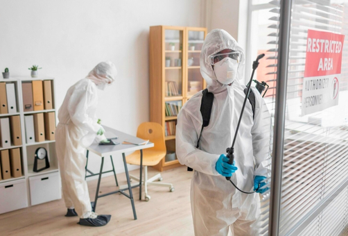 School Pest Management Services in Brisbane School Pest Management Services in Brisbane
