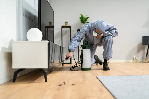 Why Choose Eco Guard Pest Management Brisbane For Residential Pest Management Services