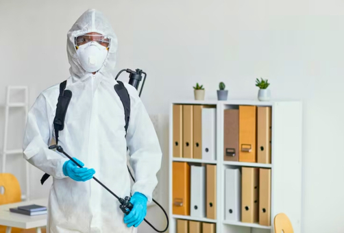 Why Choose Office Pest Management Company Brisbane