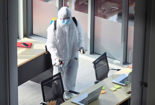 Why Should You Choose Eco Guard Pest Management Brisbane for Office Pest Management Brisbane