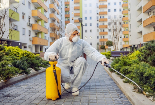 Why Take Real Estate Pest Management service Brisbane Why Take Real Estate Pest Management service Brisbane