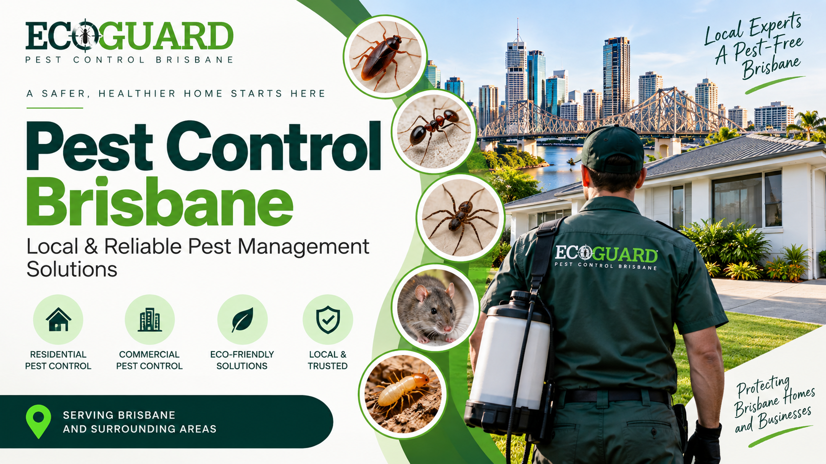 Pest Control Brisbane – Local & Reliable Pest Management Solutions