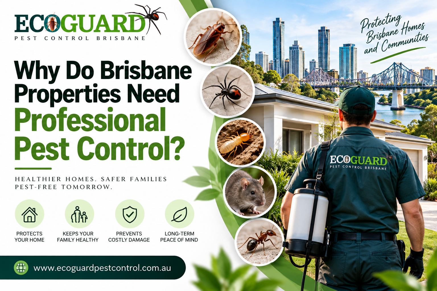 Why Do Brisbane Properties Need Professional Pest Control